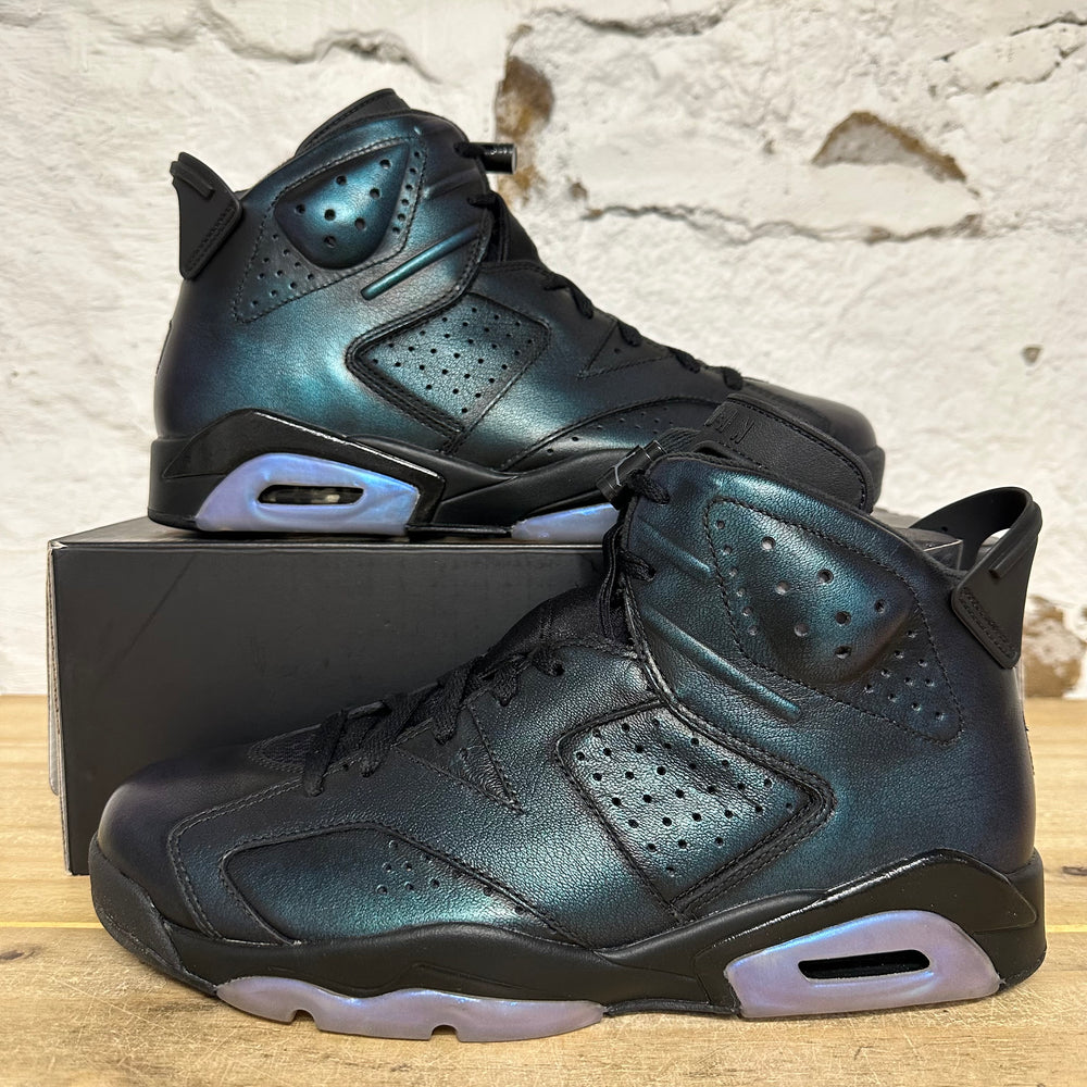 Air Jordan 6 All-Star Chameleon Sz 10.5 DS