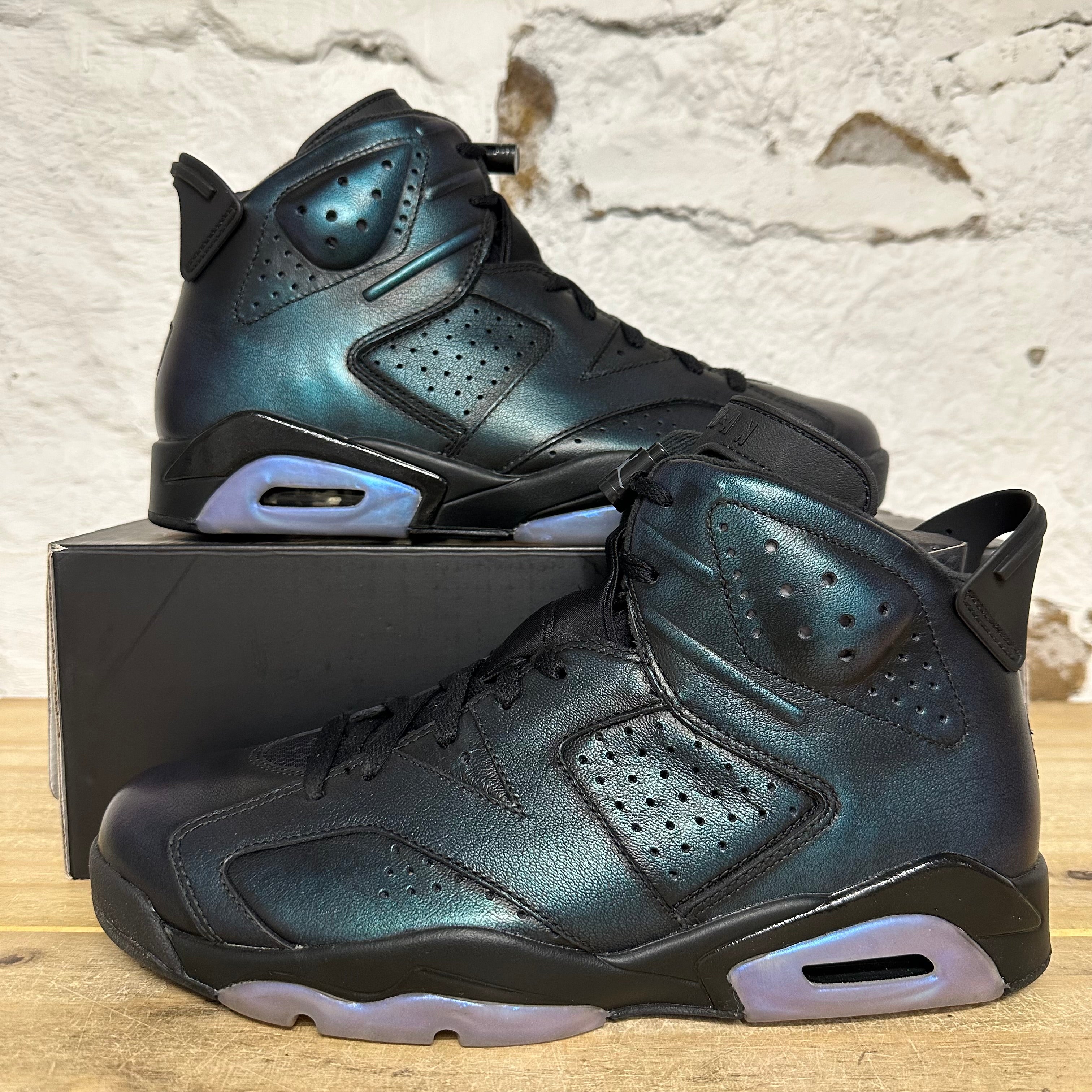Air Jordan 6 All-Star Chameleon Sz 10.5 DS