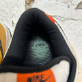 Nike Dunk Low SB Raygun Sz 9.5