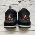Air Jordan 3 Fear (2023) Sz 13