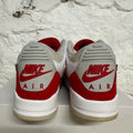 Air Jordan 3 Tinker Red Sz 12
