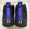 Air Jordan 12 Dark Concord Sz 15