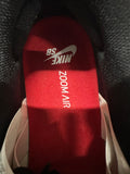 Nike SB Dunk Low Chicago Sz 10