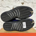 Air Jordan 12 Dark Concord Sz 8