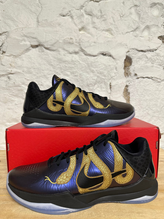 Nike Kobe 5 Protro Year Of The Mamba Eggplant Sz 12.5