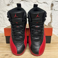 Air Jordan 12 Flu Game Sz 10.5