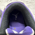 Air Jordan 3 Dark Iris Sz 12