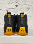 Air Jordan 12 University Gold Sz 10.5
