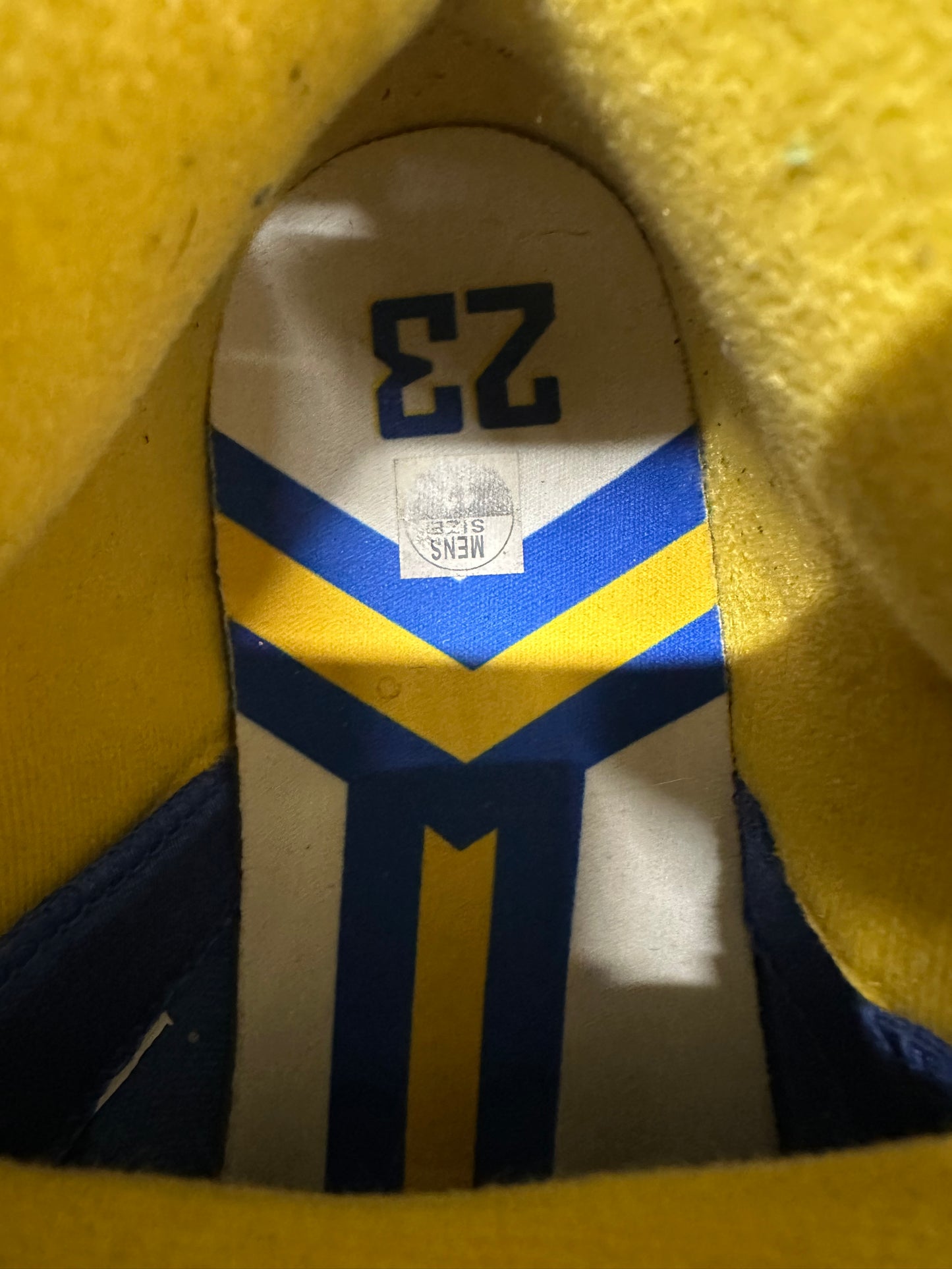 Air Jordan 5 Laney Varsity Royal Sz 12