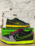 Nike Dunk Low Oregon What The Duck Home Sz 11 DS
