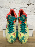 Nike Lebron 9 Low Lebronald Palmer Sz 11