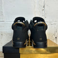Air Jordan 6 DMP Sz 10.5