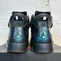Air Jordan 6 All-Star Chameleon (2017) Sz 10