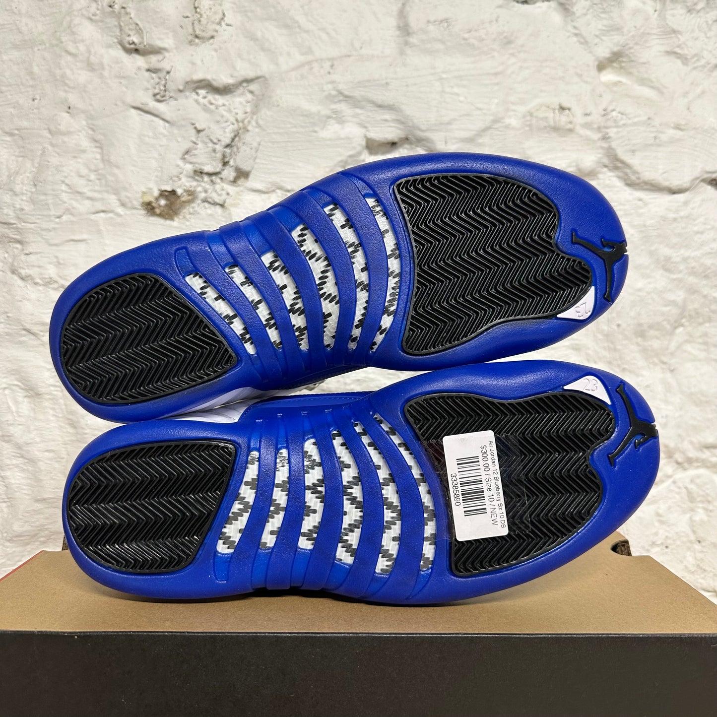 Air Jordan 12 Blueberry Sz 10 DS