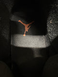Air Jordan 3 Fear Sz 12
