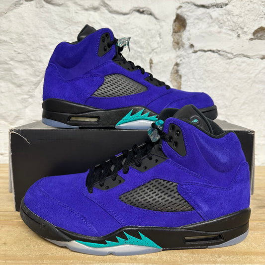 Air Jordan 5 Alternate Grape Sz 10.5 DS
