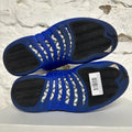 Air Jordan 12 Blueberry Sz 8