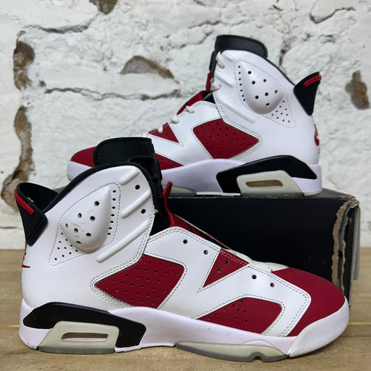 Air Jordan 6 (2021) Carmine Sz 10