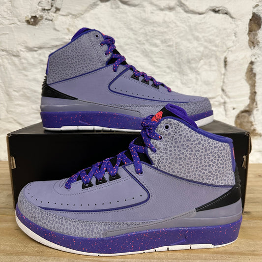 Air Jordan 2 Iron Purple Sz 10 DS