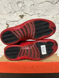 Air Jordan 12 Flu Game Sz 11.5