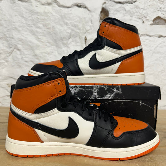 Air Jordan 1 High Shattered Backboard (2025) Sz 10.5