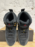 Air Jordan 12 Reverse Taxi Sz 11.5