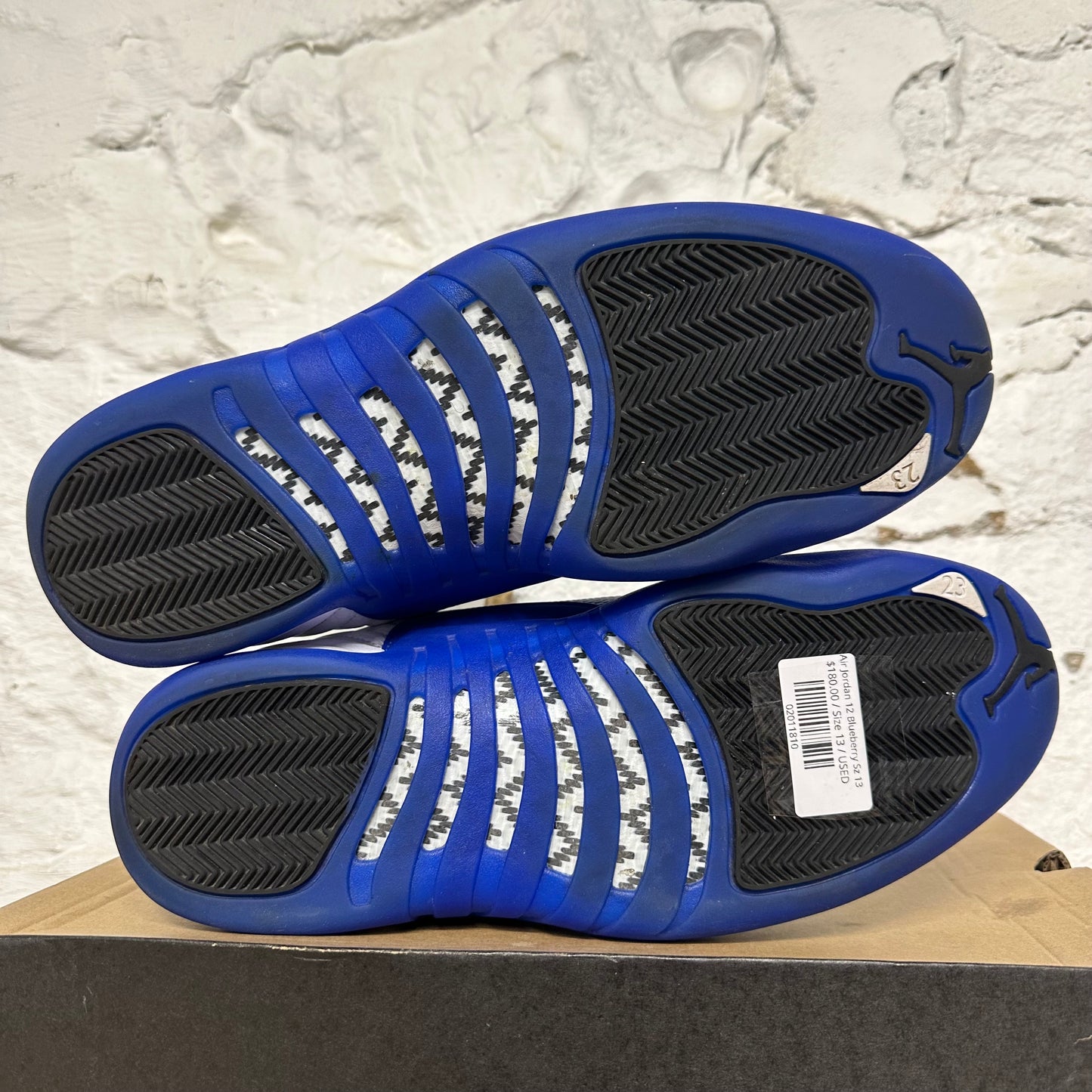 Air Jordan 12 Blueberry Sz 13