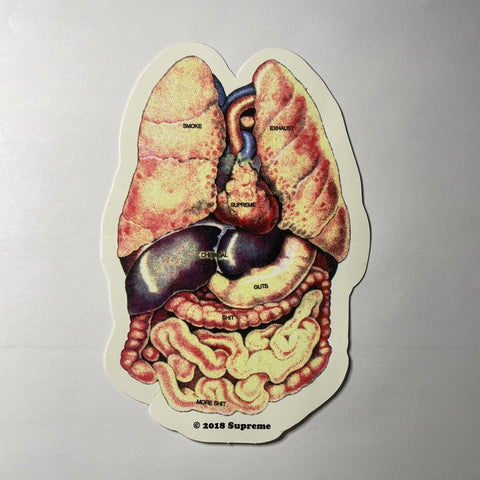 Supreme Guts Organs Sticker