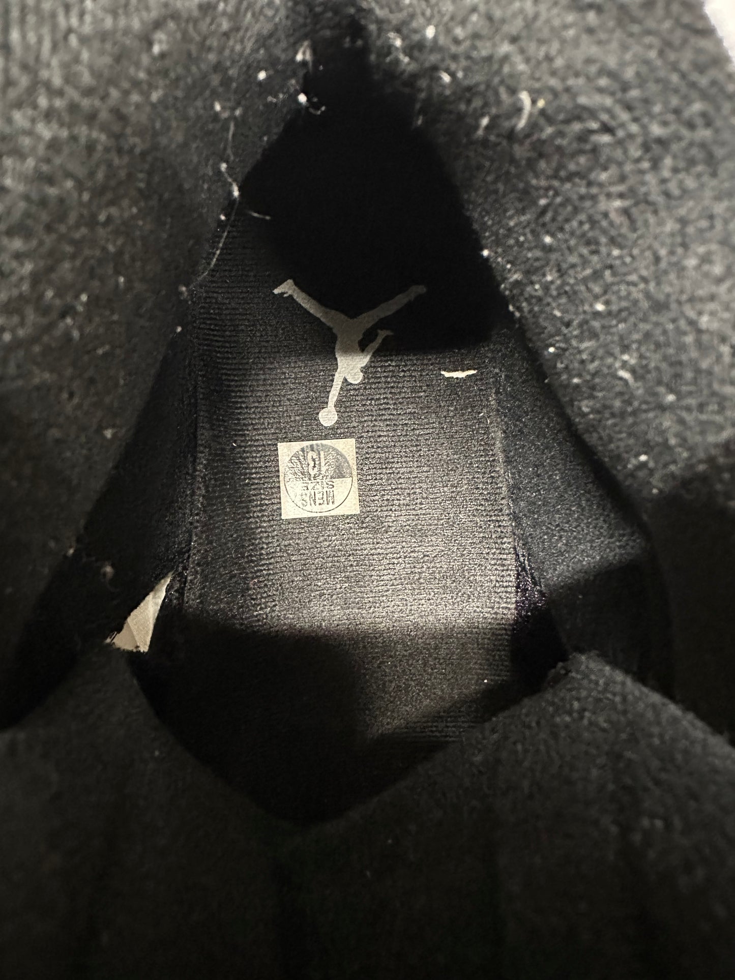 Air Jordan 5 Reverse Metallic Sz 13