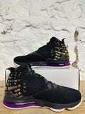 Nike Lebron 17 Lakers Sz 10.5