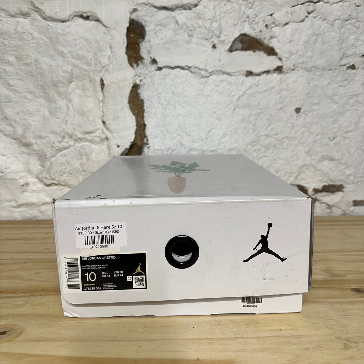 Air Jordan 6 Hare Sz 10