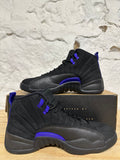 Air Jordan 12 Dark Concord Sz 9.5