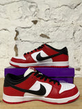 Nike SB Dunk Low Chicago Sz 12