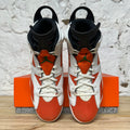 Air Jordan 6 Gatorade Like Mike White Sz 14