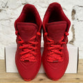 Nike Lebron 21 James Gang Sz 10