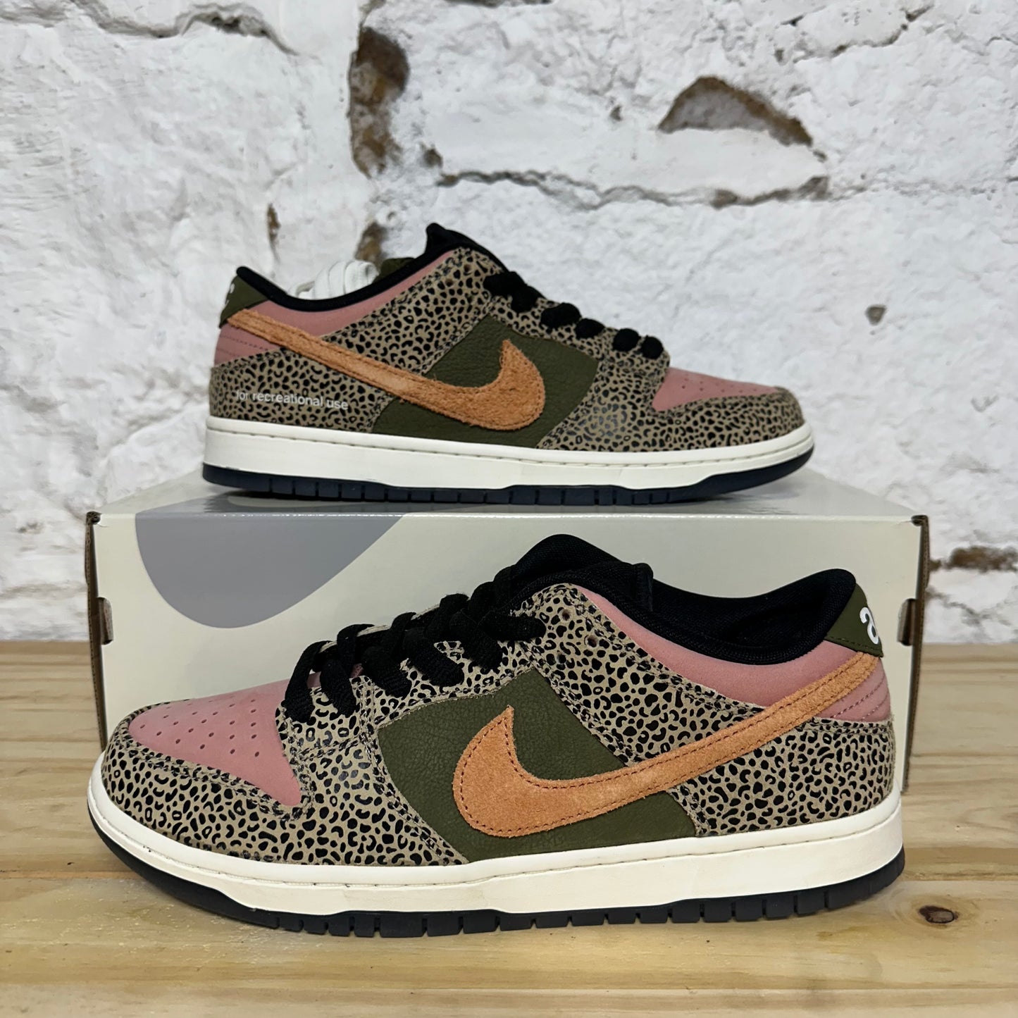 Nike Dunk Low Arts-Rec (Special Box) Sz 9.5 DS