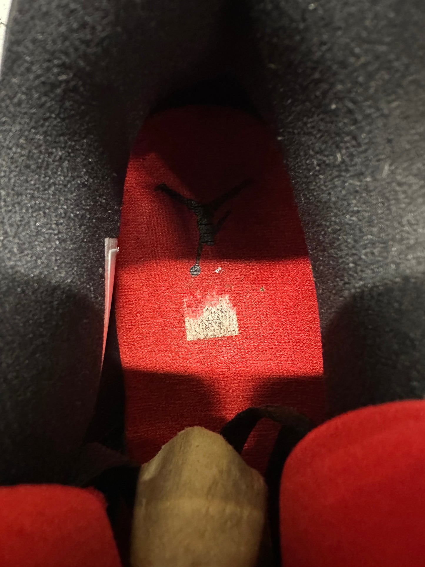 Air Jordan 4 Raptor Sz 14