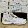 Nike LeBron 3 West Coast Sz 10 DS