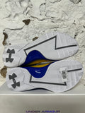 Under Armour Curry Icon 1 Custom Golden State Warriors Home Sz 10.5 DS