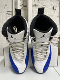 Air Jordan 12 Blueberry Sz 11.5