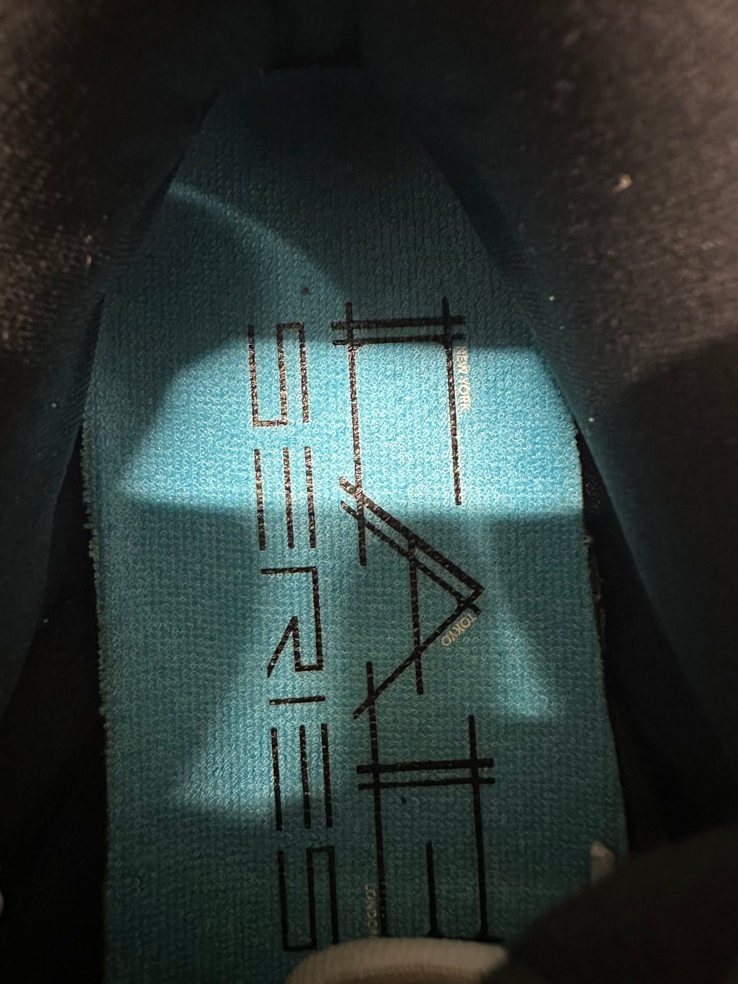 Nike SB Dunk Low Tokyo Blue Taxi Sz 10.5 DS