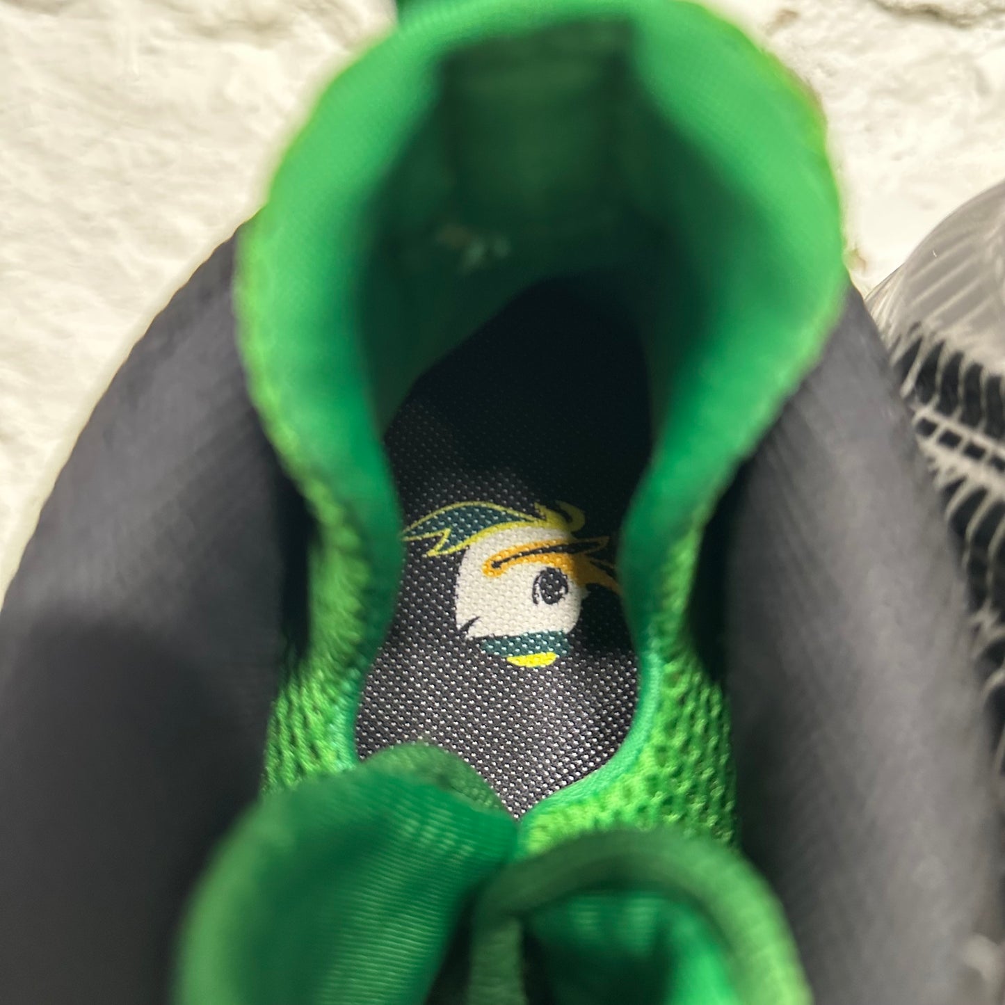 Nike Air Foamposite One Oregon Ducks Sz 11