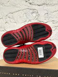 Air Jordan 12 Flu Game (2025) Sz 9