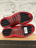 Air Jordan 12 Flu Game Sz 9.5 DS