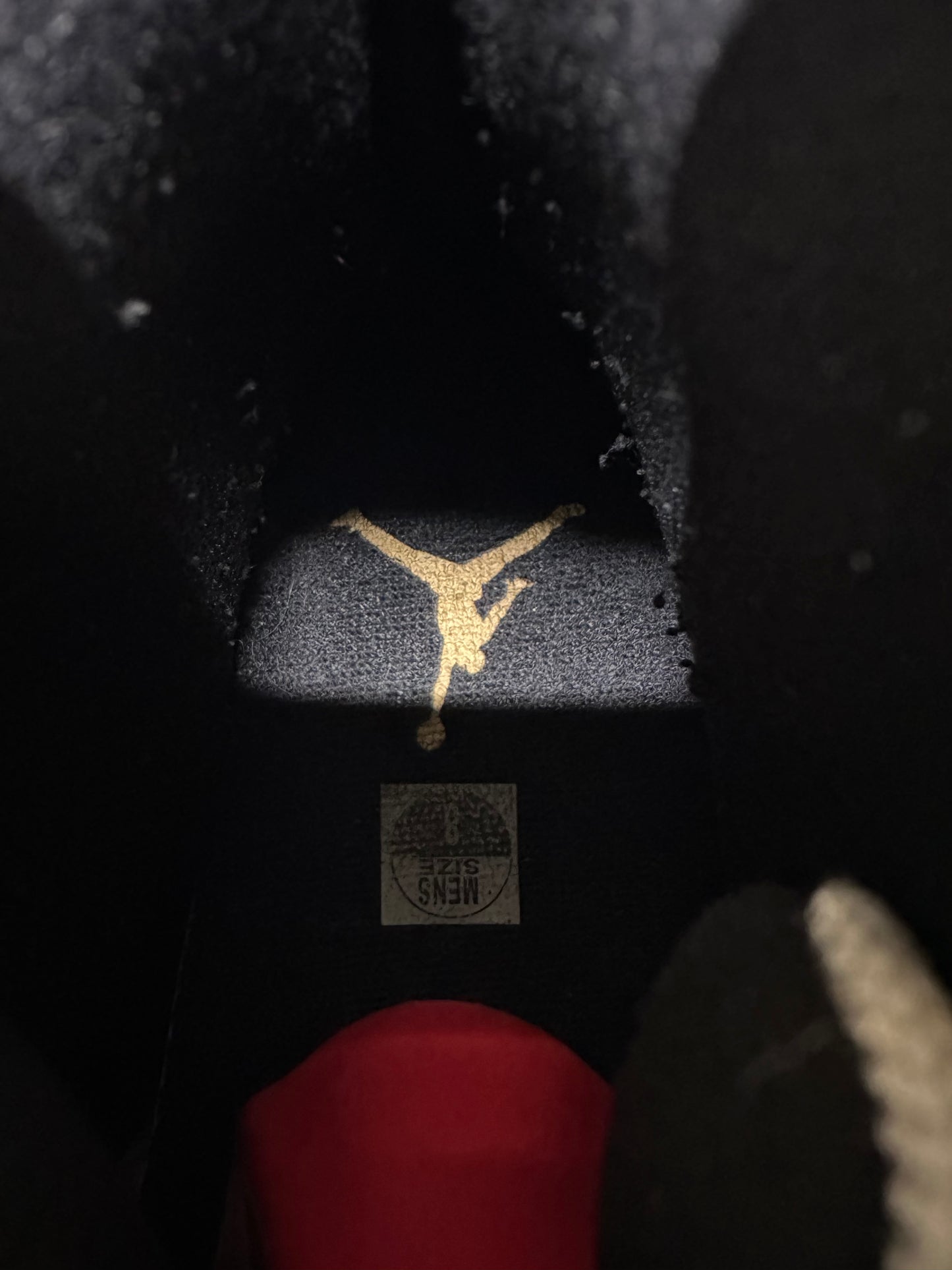 Air Jordan 11 Pure Platinum Sz 8