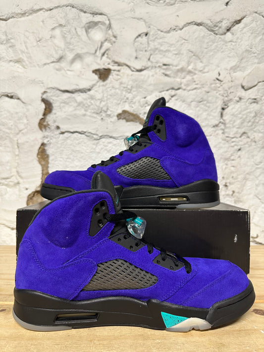 Air Jordan 5 Alternate Grape Sz 10