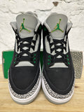 Air Jordan 3 Pine Green Sz 10.5