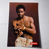 Supreme Al Green Sticker