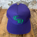 Chrome Hearts Green CH Purple Hat DS
