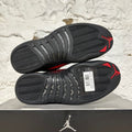Air Jordan 12 Bloodline Sz 8.5